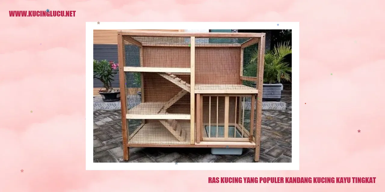 Kucing Kayu Tingkat