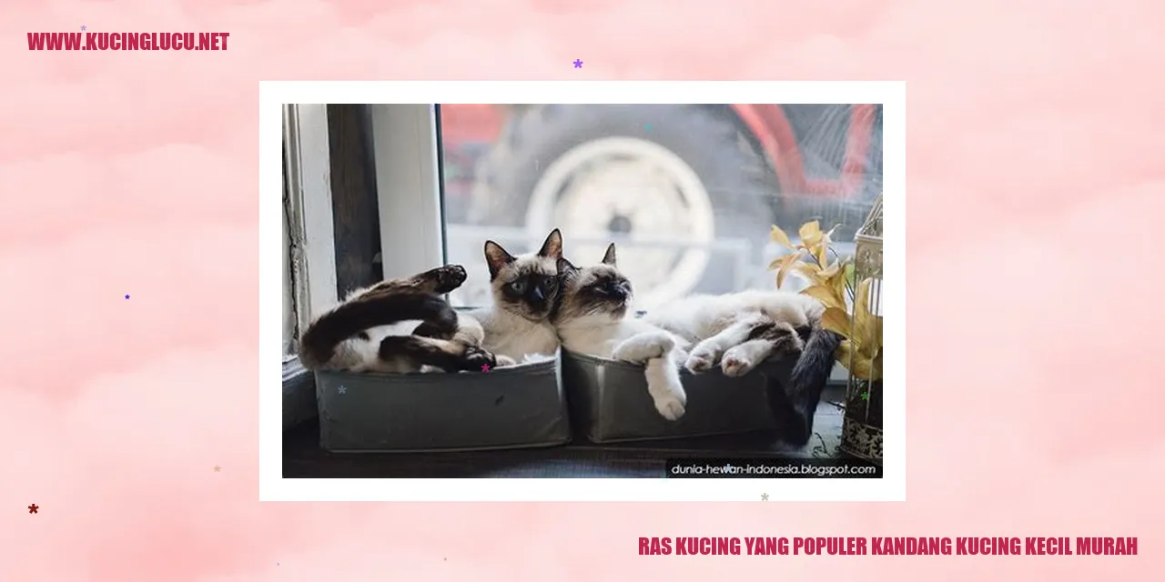 Kucing dalam kandang