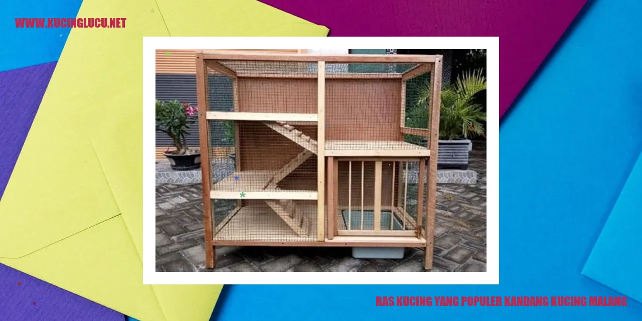 Ras Kucing yang Populer di Kandang Kucing Malang