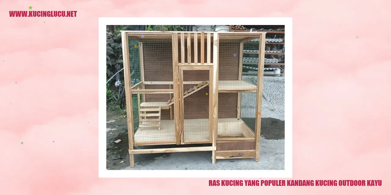 Kandang Kucing Outdoor Kayu