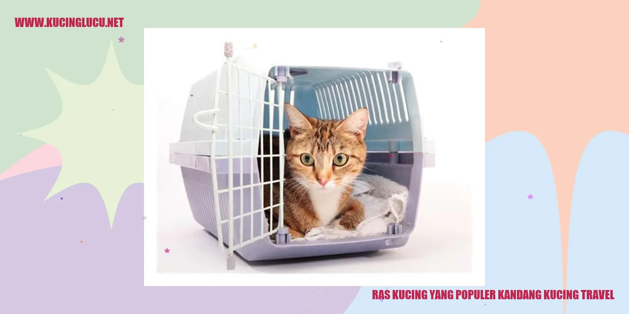 Kucing Travel