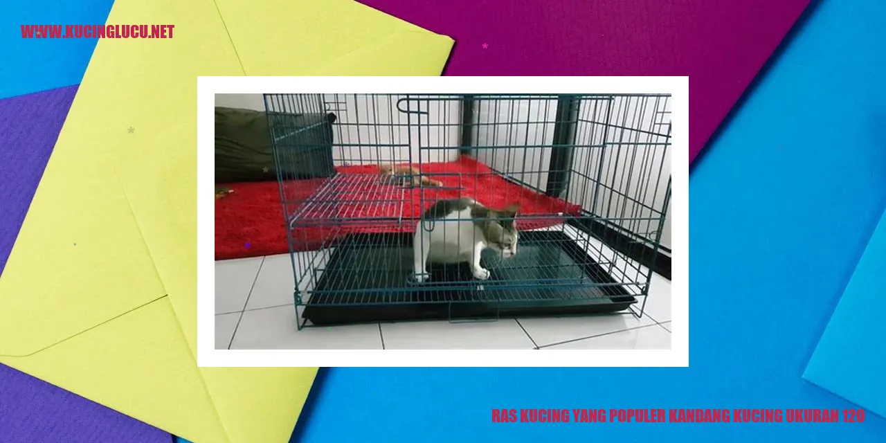 Ras Kucing yang Populer kandang kucing ukuran 120