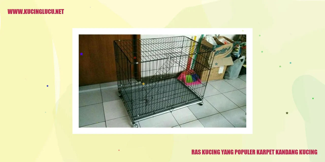 Ras Kucing yang Populer karpet kandang kucing