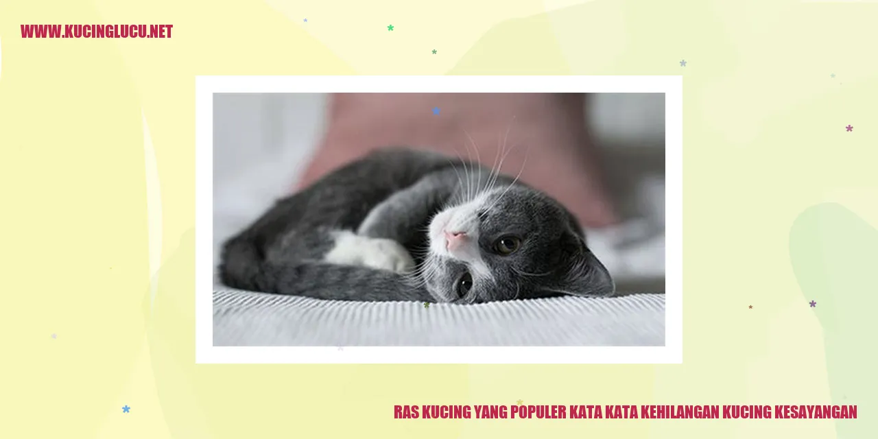 Ras Kucing yang Populer