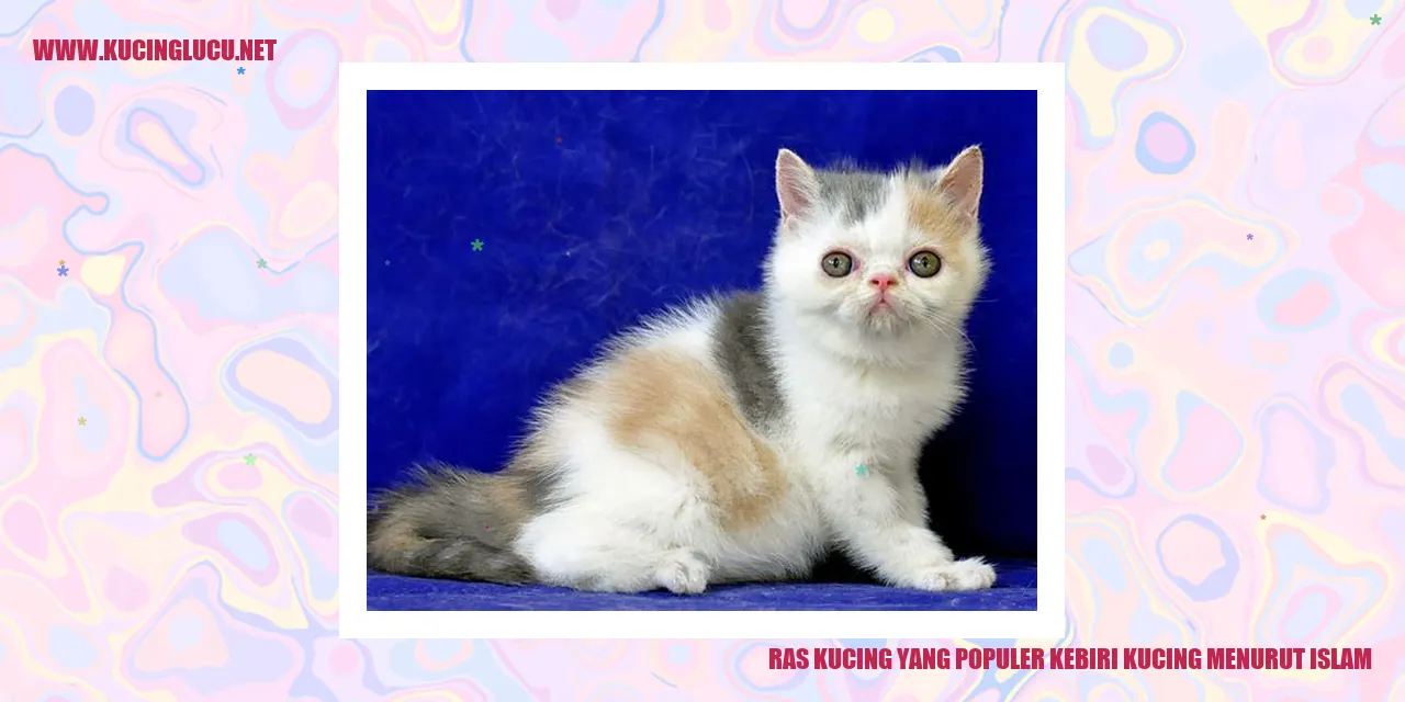 Ras Kucing yang Populer kebiri kucing menurut islam