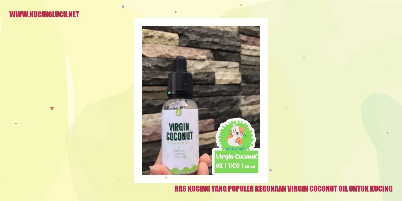 Ras Kucing yang Populer