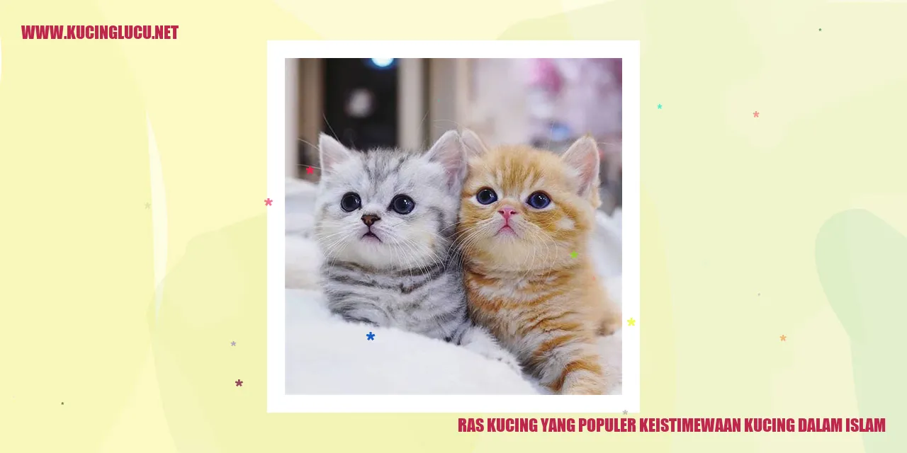 Ras Kucing yang Populer keistimewaan kucing dalam islam