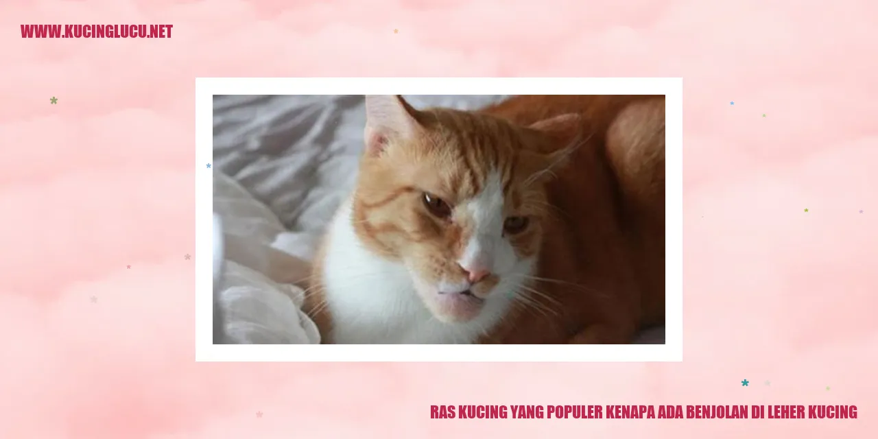 Gambar Kucing dengan Benjolan di Leher