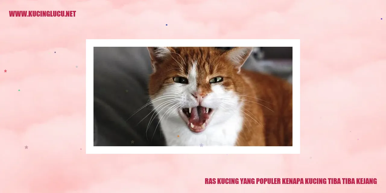 Kucing kejang