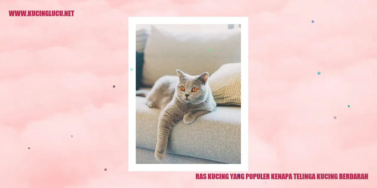 Telinga Kucing Berdarah