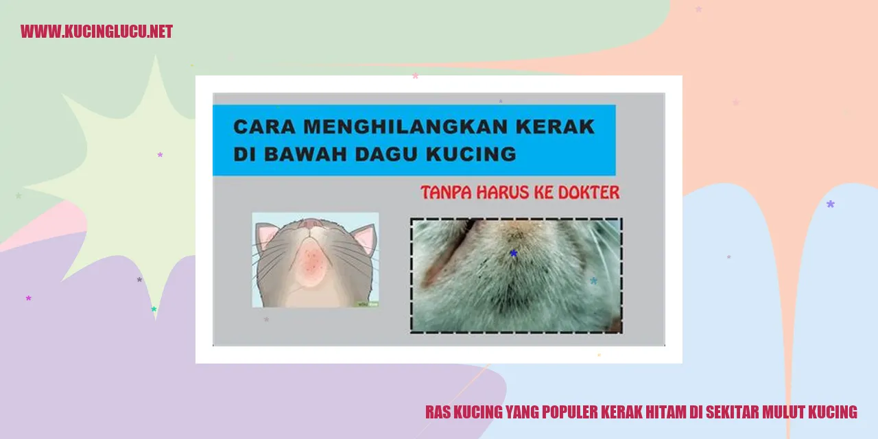 Kucing dengan kerak hitam di sekitar mulutnya