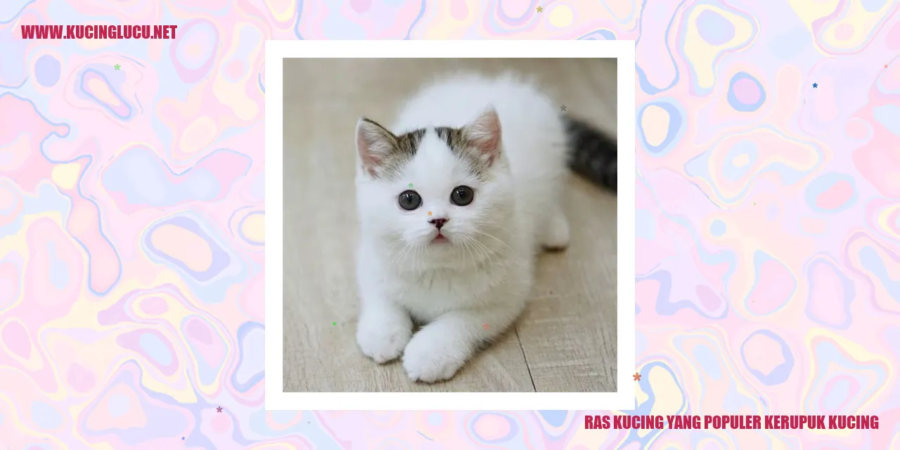 Ras Kucing yang Populer kerupuk kucing