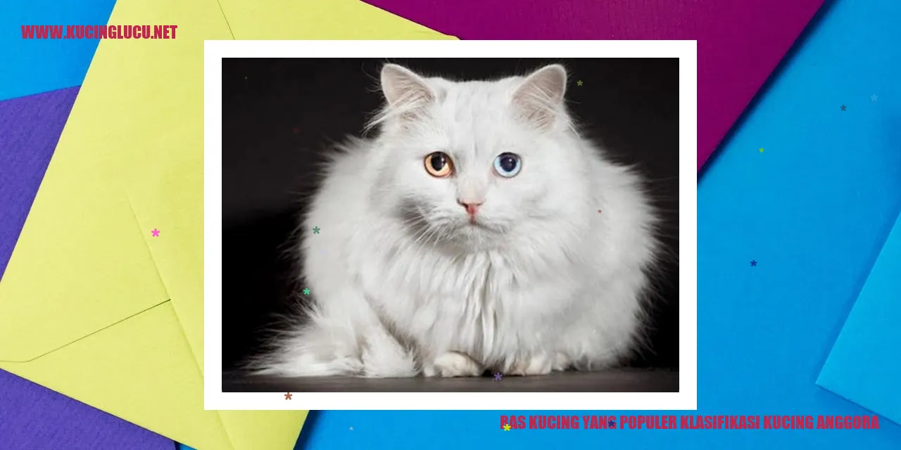 Kucing Anggora yang Memesona