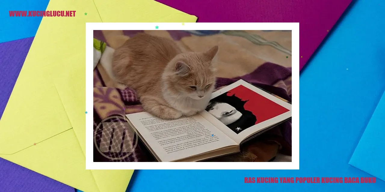Kucing Membaca Buku