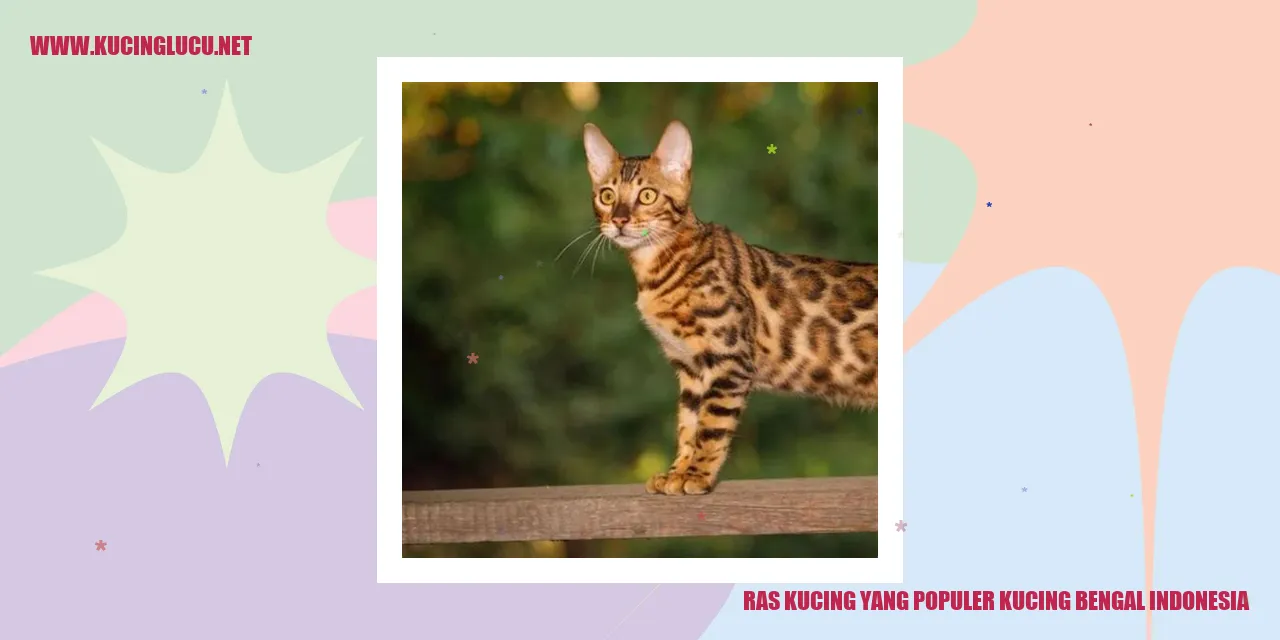 Kucing Bengal