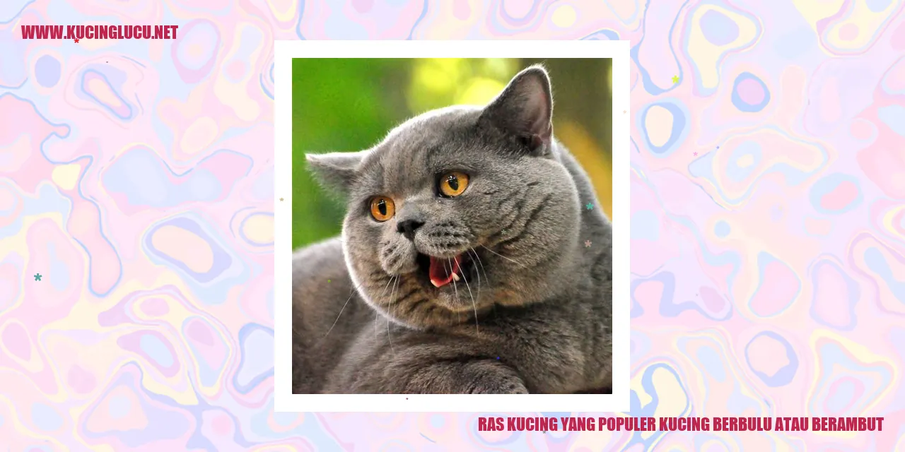 Ragam Kucing dengan Bulu atau Rambut yang Eksotis