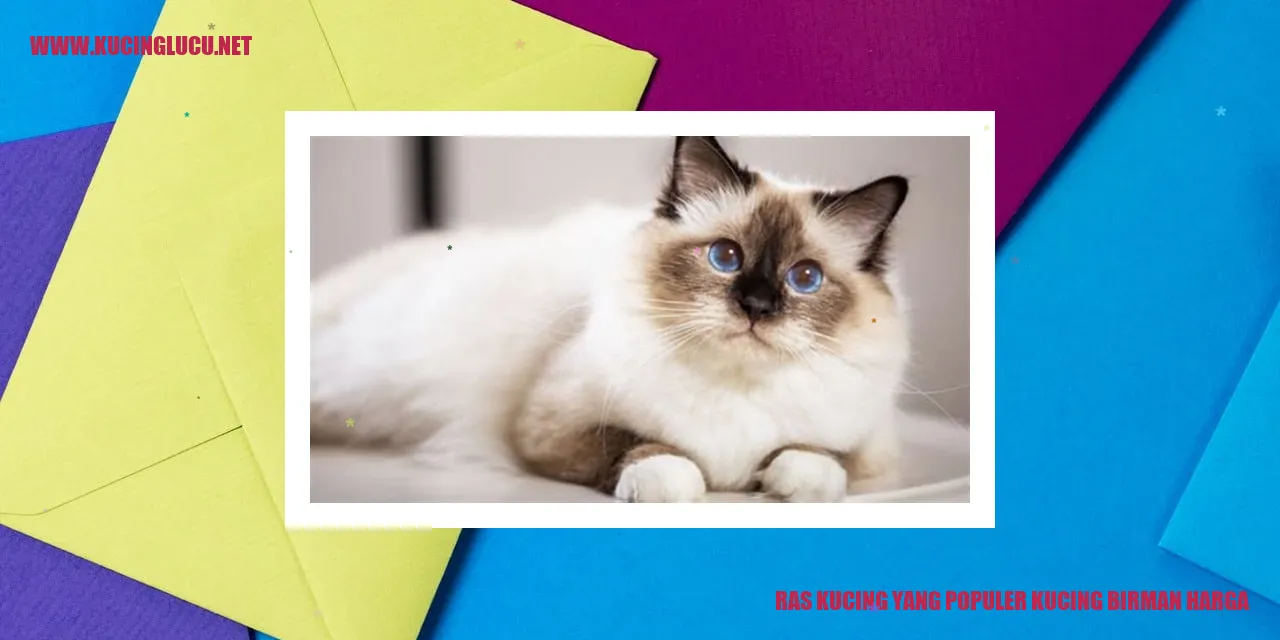 Kucing Birman