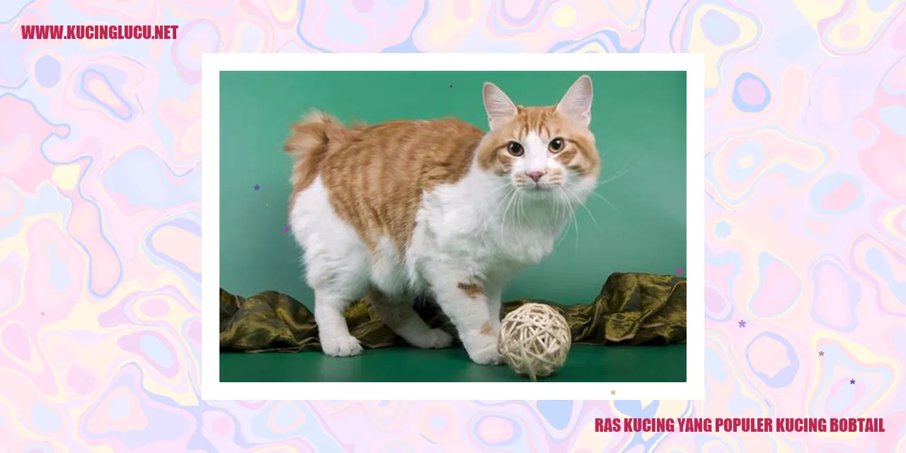 Kucing Bobtail yang Lucu dan Unik