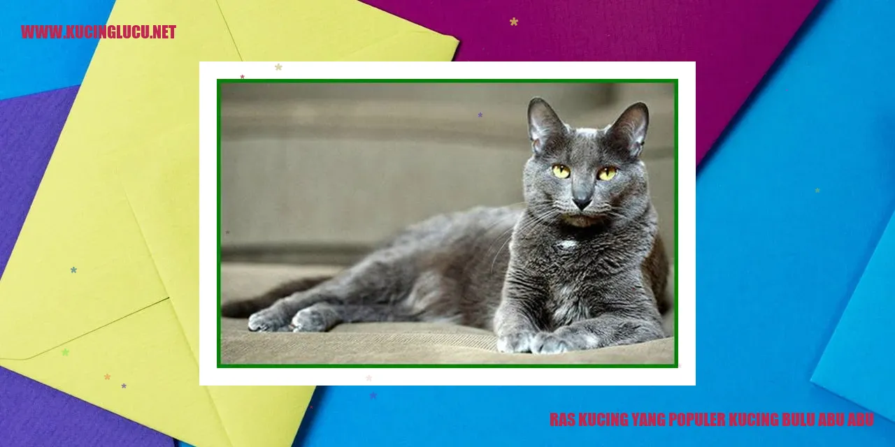 Kucing Bulu Abu-abu