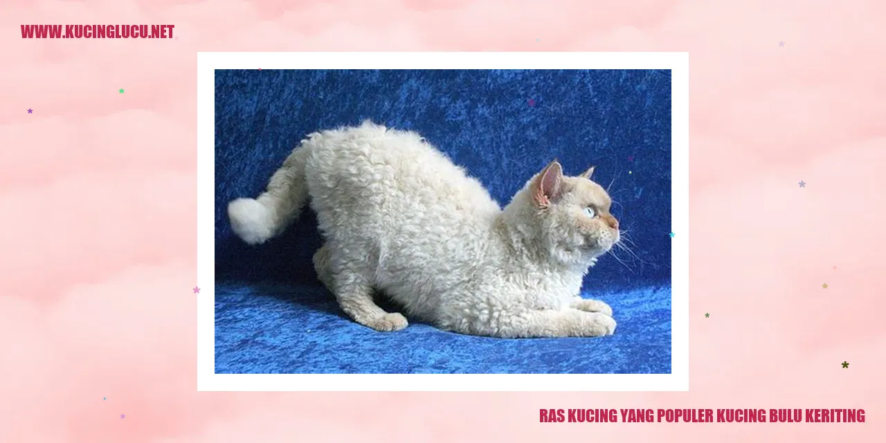 Kucing Bulu Keriting