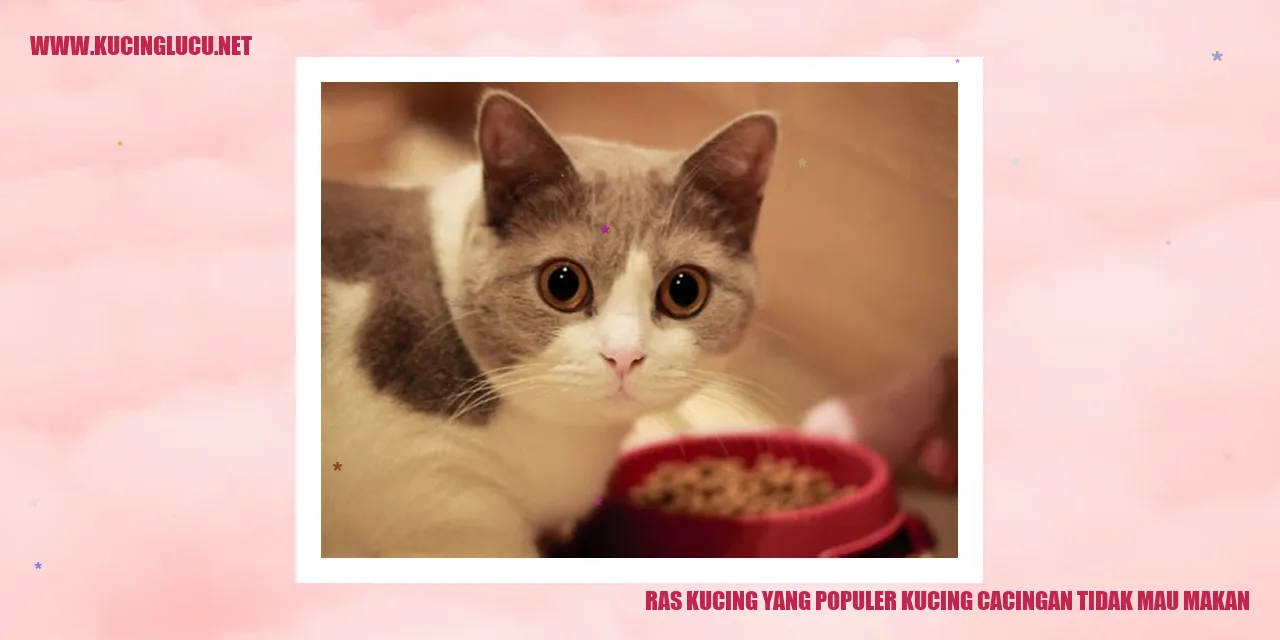 Gambar Kucing yang Menarik