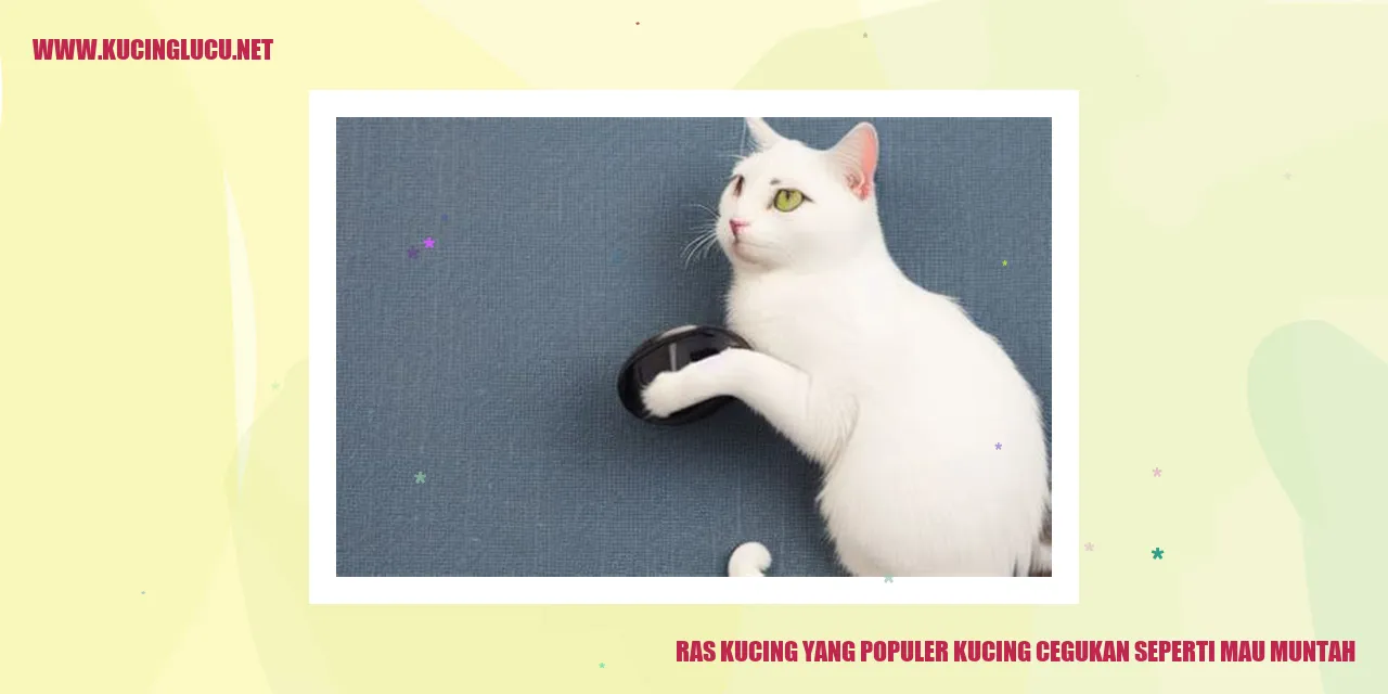 Kucing Cegukan