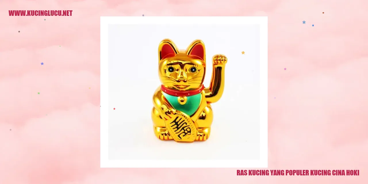 Kucing Cina Hoki: Ras Kucing yang Paling Digemari