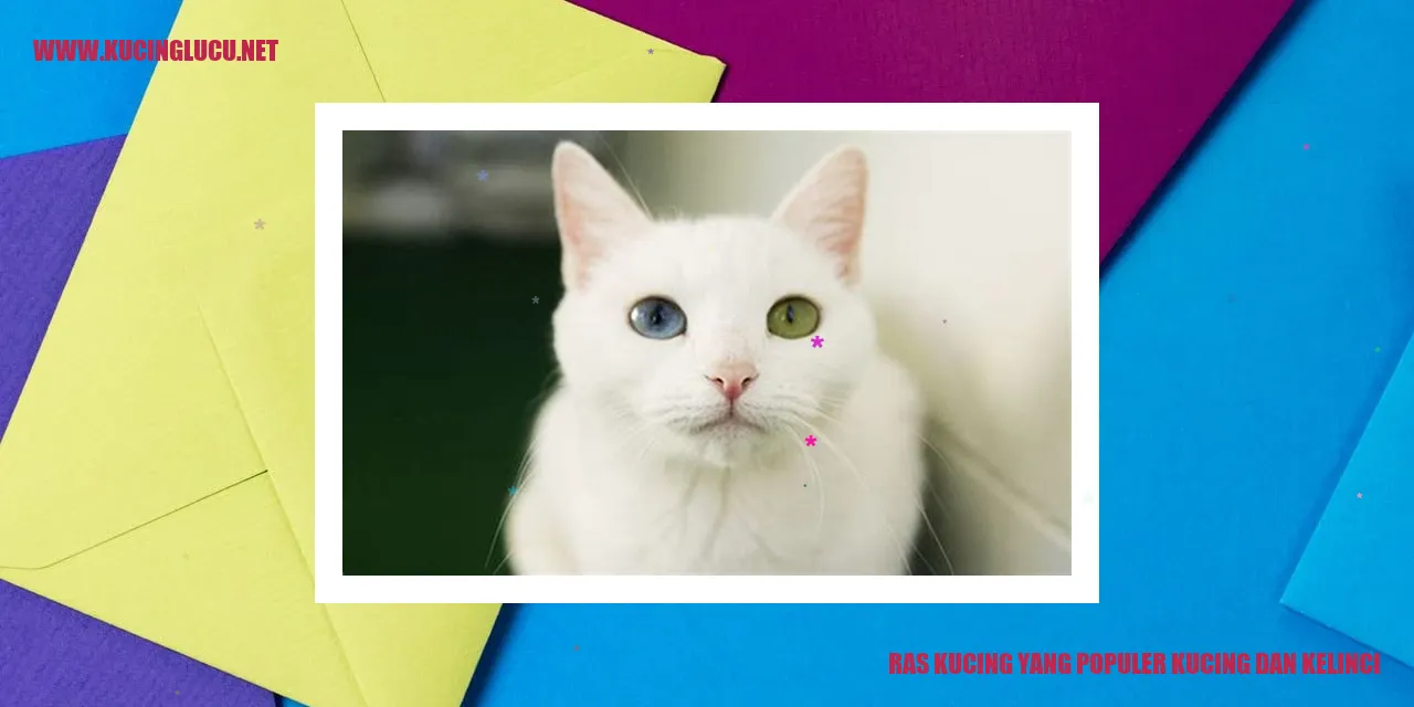 Ras Kucing yang Populer kucing dan kelinci