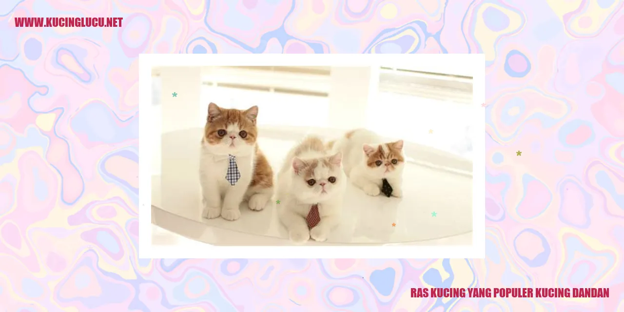 Kucing yg sering dandan