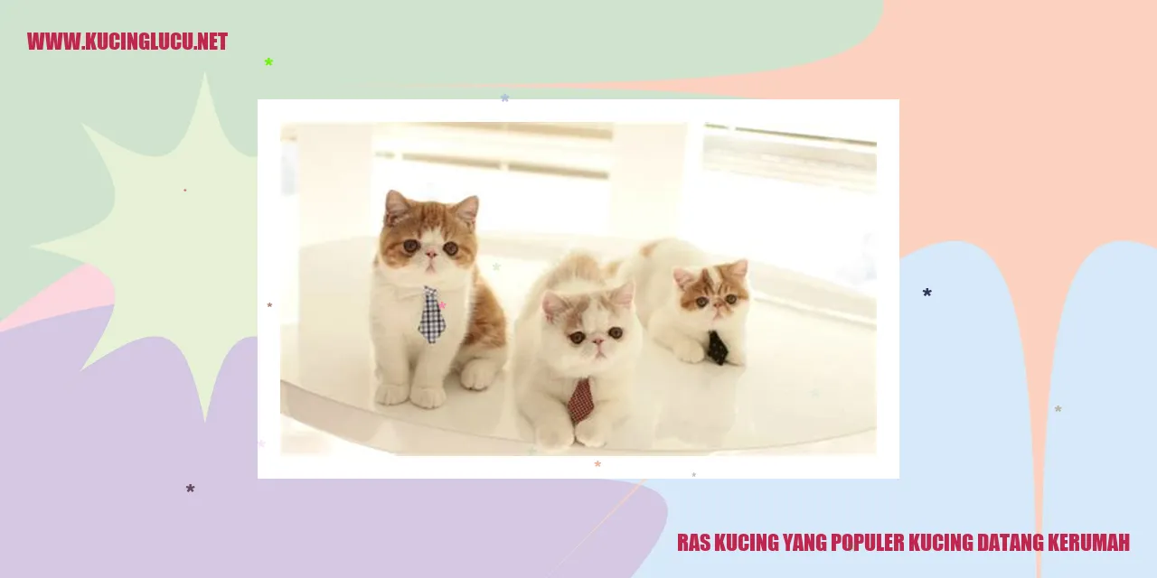 Ras Kucing yang Populer