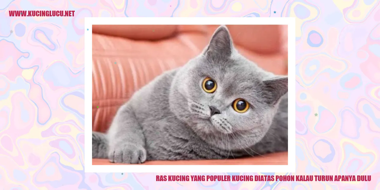 Kucing Menggantung di Tunas