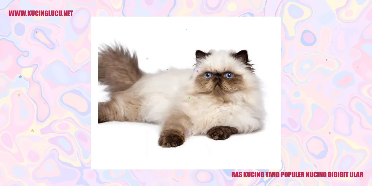 gambar kucing penjaga