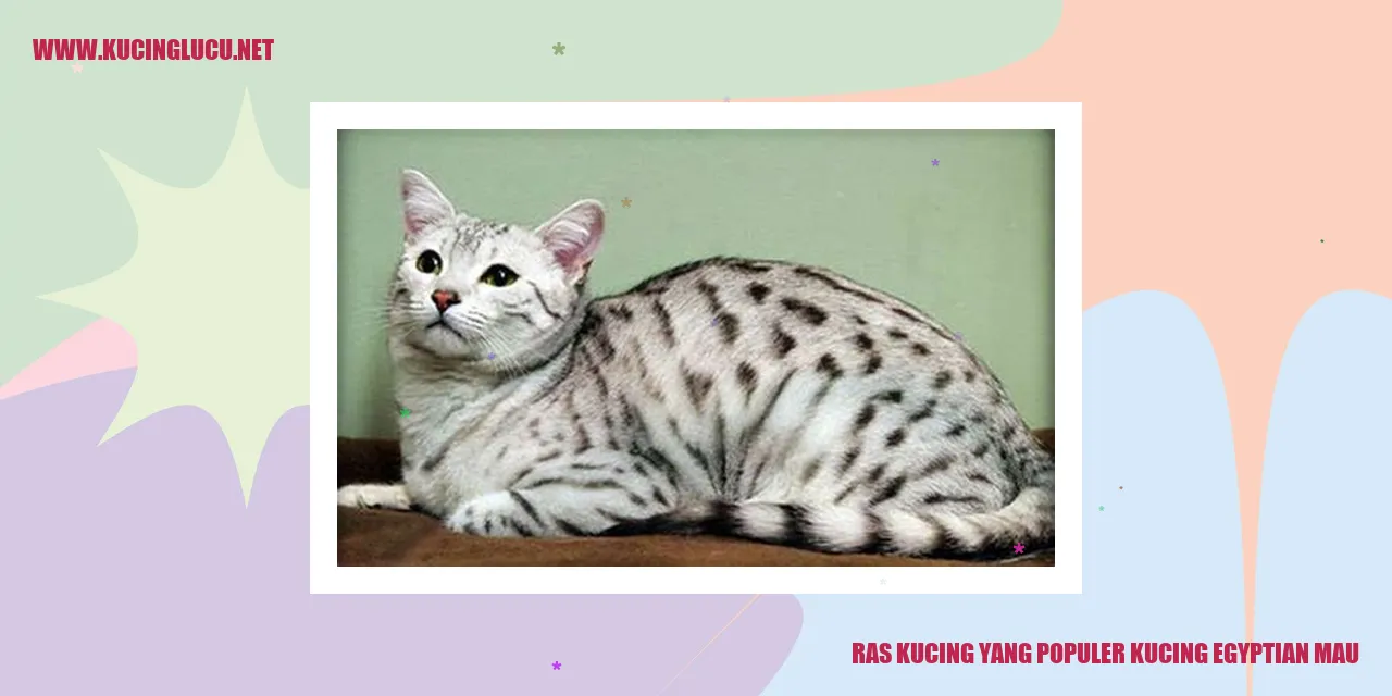 Kucing Egyptian Mau