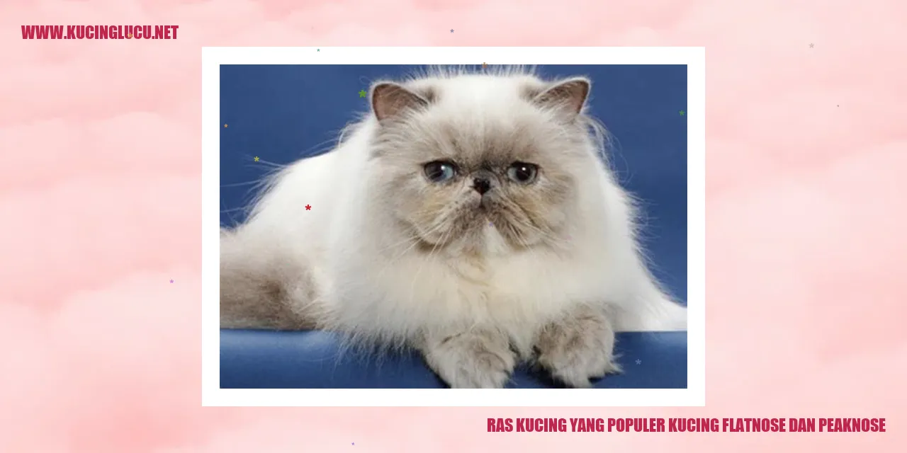 Gambar Kucing dengan Hidung Unik