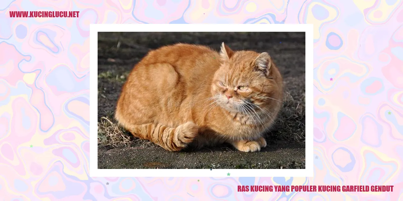 Kucing Gemuk Garfield