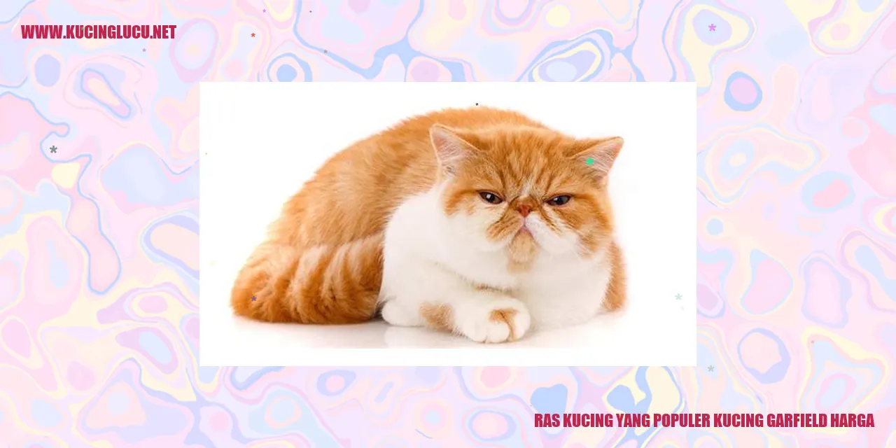 Kucing Garfield yang Menggemaskan