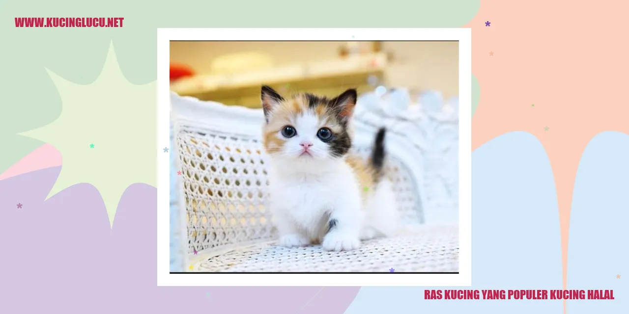Ras Kucing yang Terkenal dan Kucing yang Diperbolehkan dalam Islam