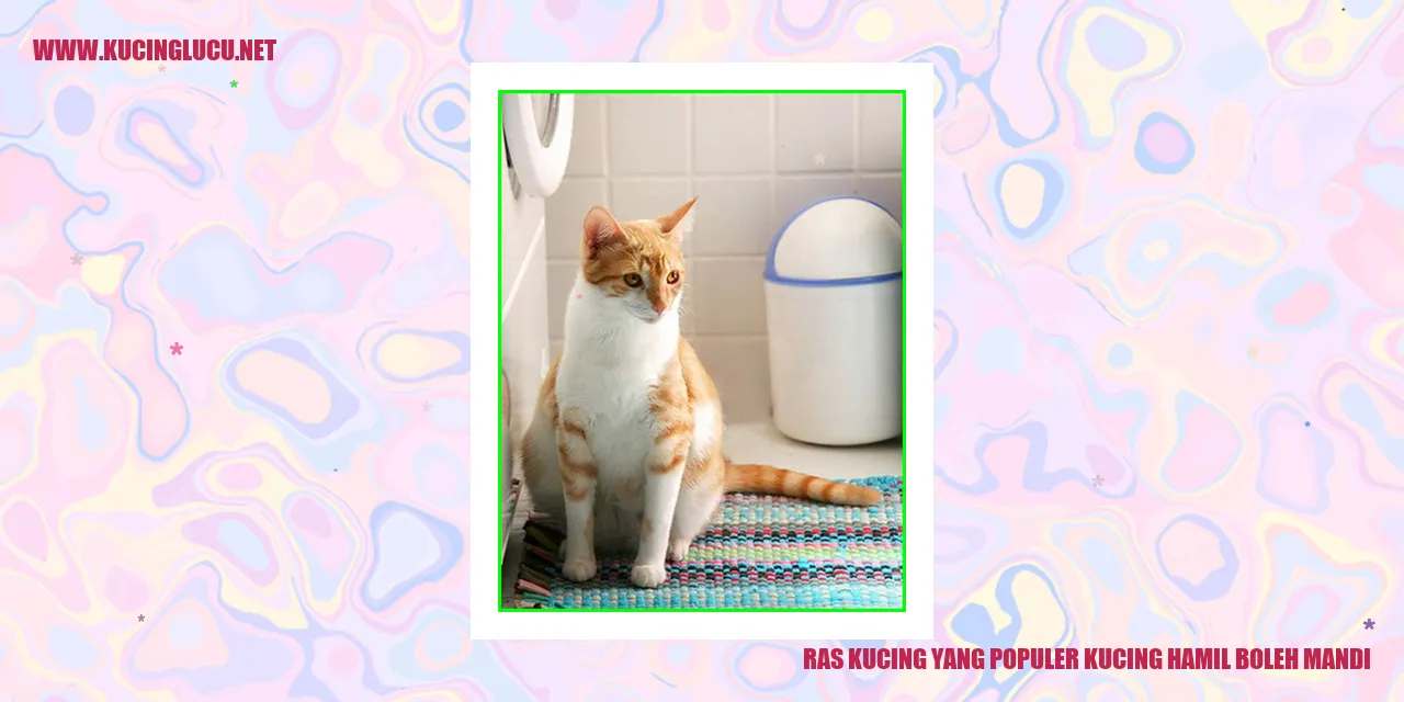 Kucing Ras yang Terkenal