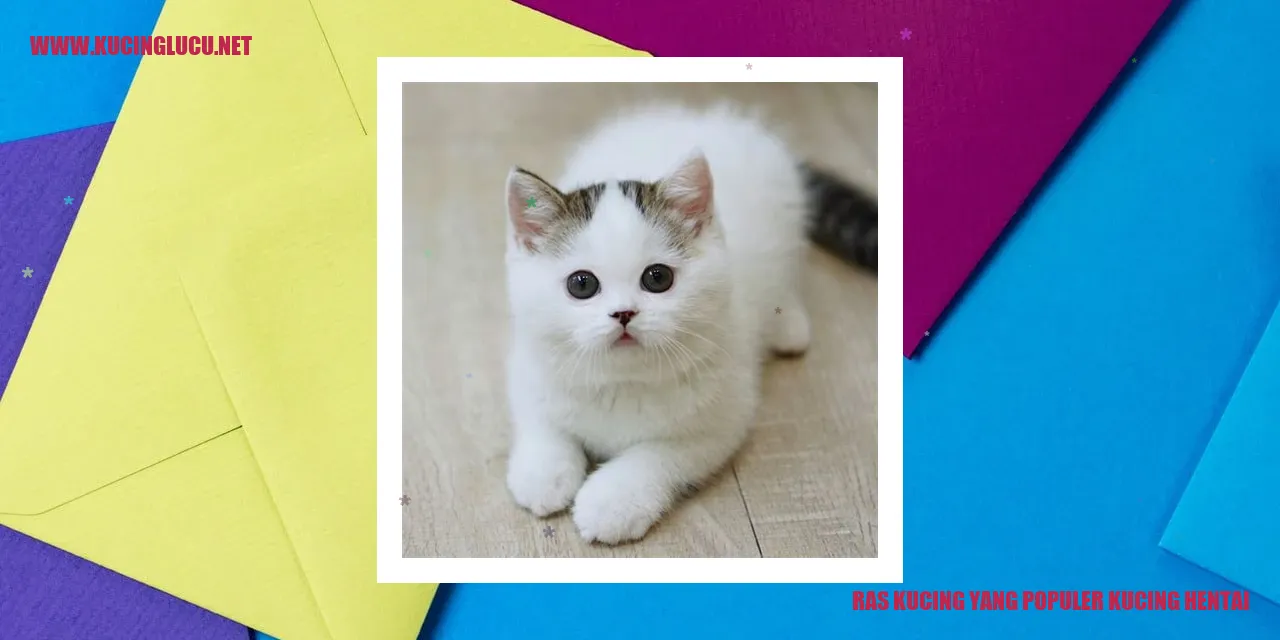Kucing Ras yang Populer