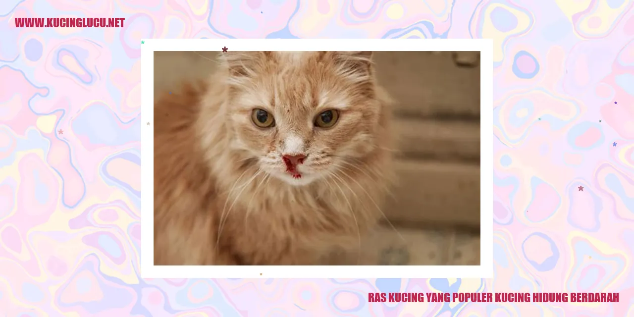 Ras Kucing yang Populer: Kucing Hidung Berdarah