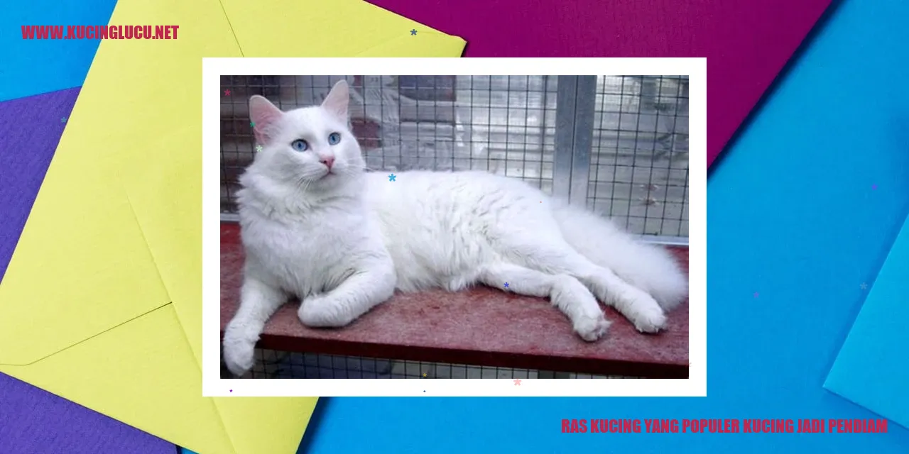 Kucing yang Populer dengan Sifat Pendiam
