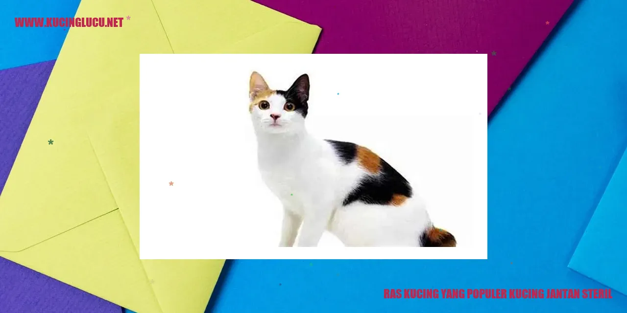 Ras Kucing yang Terkenal: Kucing Jantan yang Disterilisasi