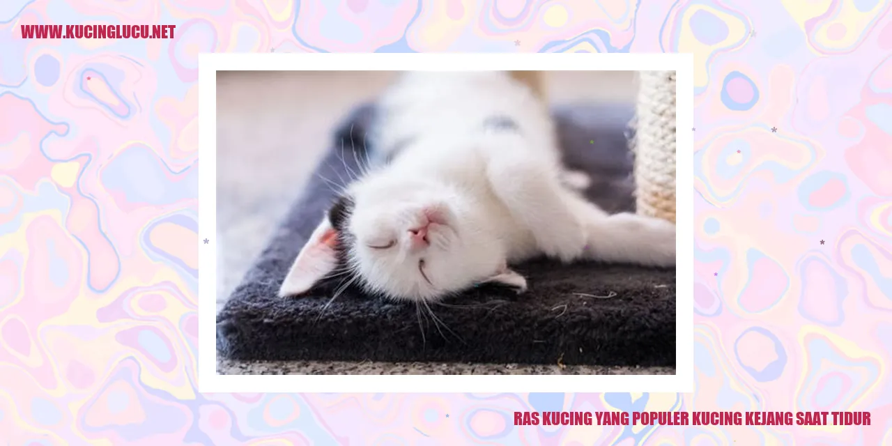 Kucing Mengalami Kejang Saat Tidur