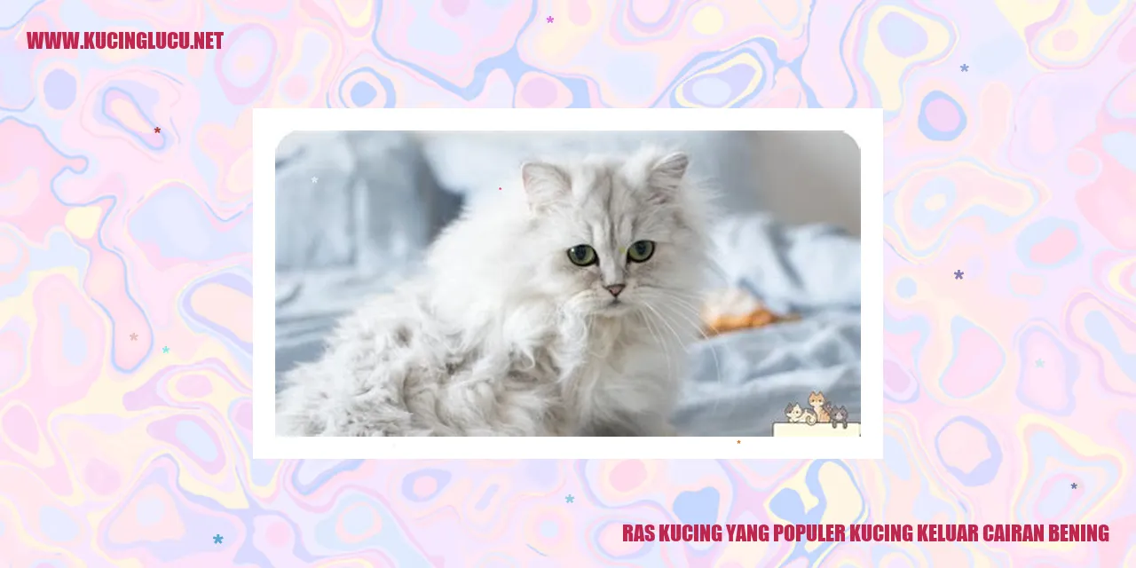 Ras Kucing yang Populer Kucing Keluar Cairan Bening