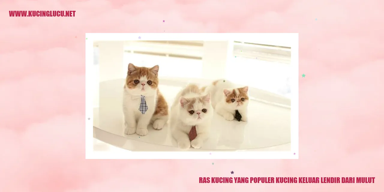Kucing dengan lendir dari mulut