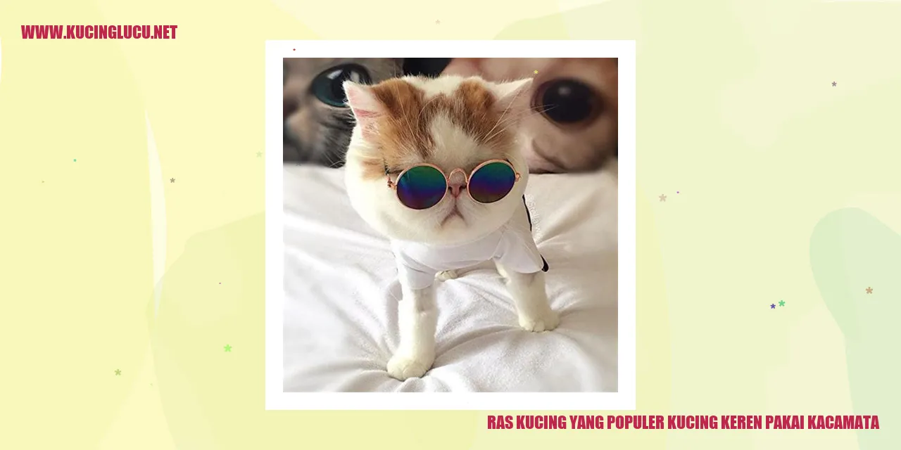 Kucing keren pakai kacamata