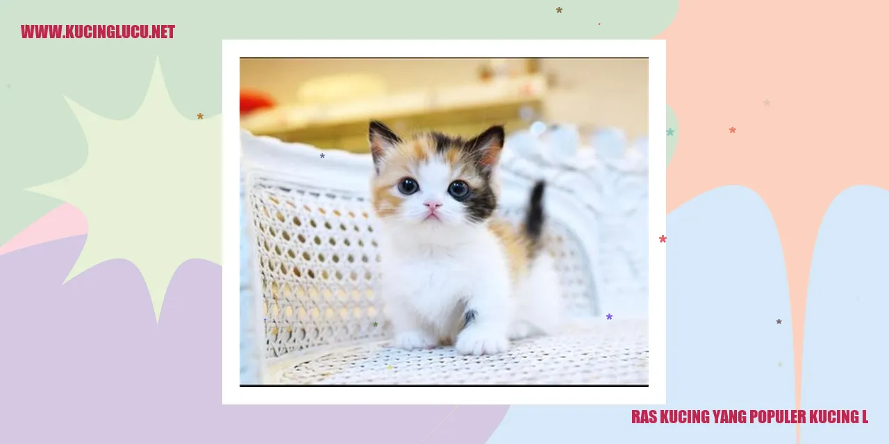 Ras Kucing yang Terkenal di Indonesia