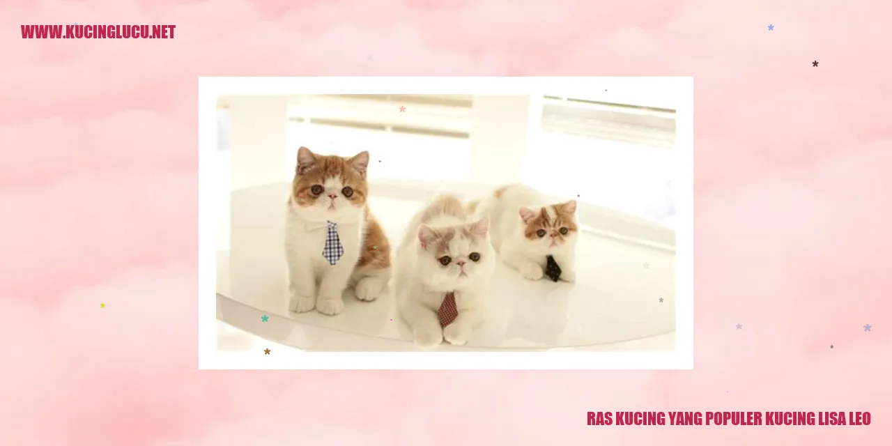 Gambar Kucing Lisa Leo