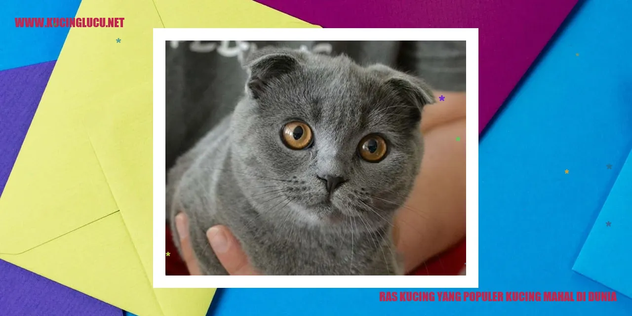 Ras Kucing yang Populer kucing mahal di dunia