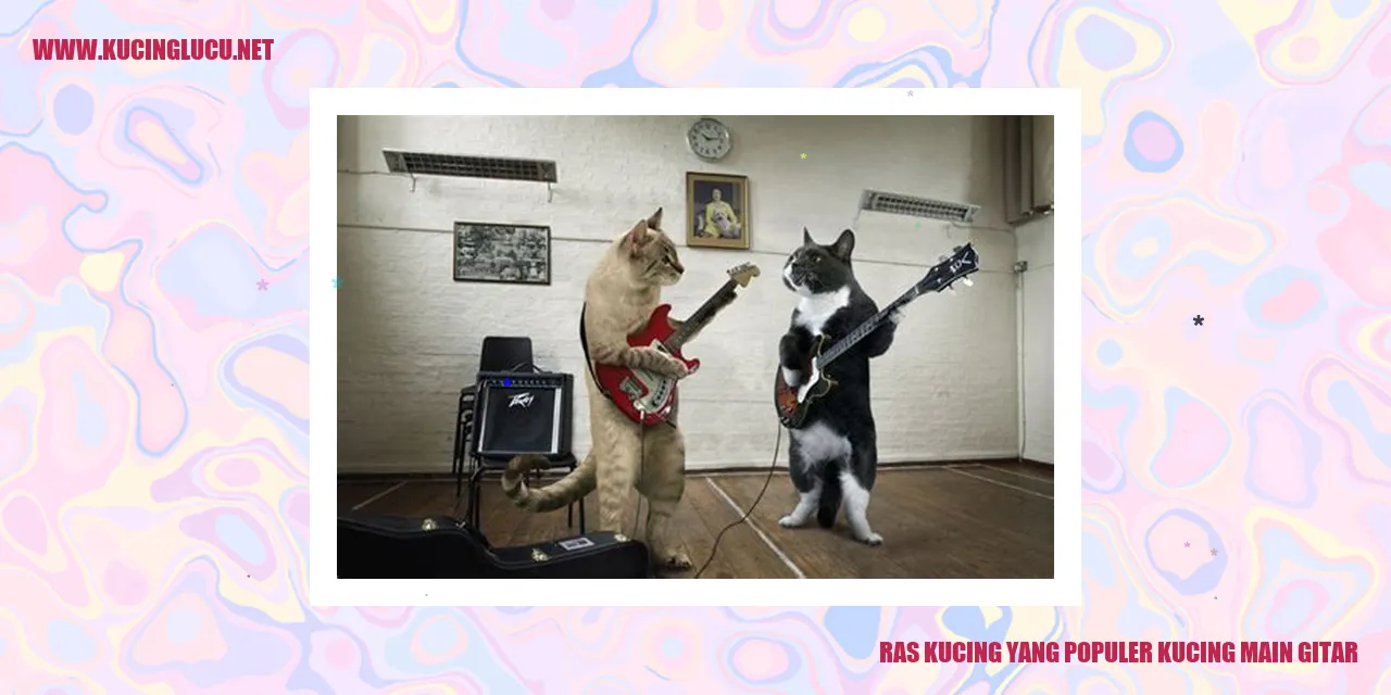 Ras Kucing yang Populer
